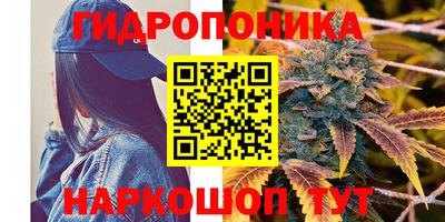 гашиш Аша